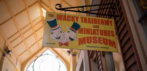 The Wacky Taxidermy and Miniatures Museum