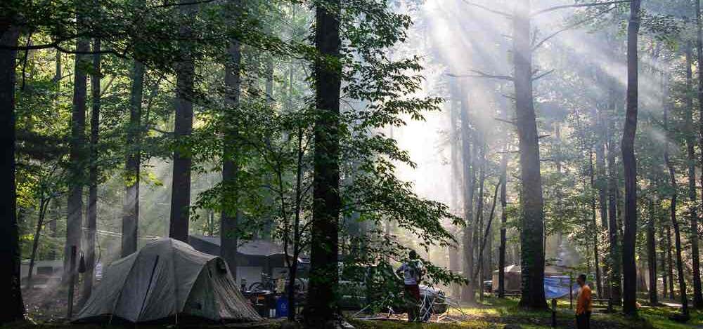 Photo of Elkmont Campground