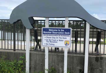 Photo of Manatee Observation Deck