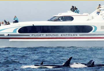 Photo of Puget Sound Express Whale Watching