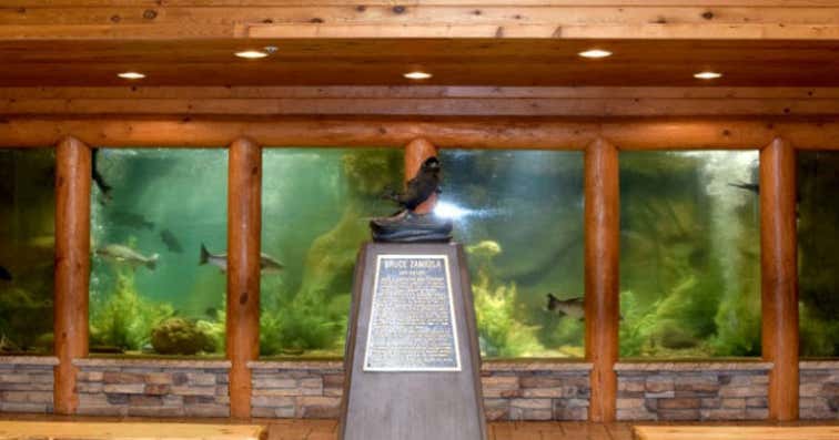 Central Mall Aquarium, Salina Roadtrippers