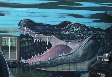 Photo of Gulf Coast Gator Ranch & Airboat Swamp Tours