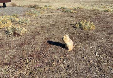 Photo of Greycliff Prairie Dog Town State Park