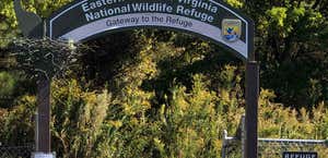 Eastern Shore of Virginia National Wildlife Refuge