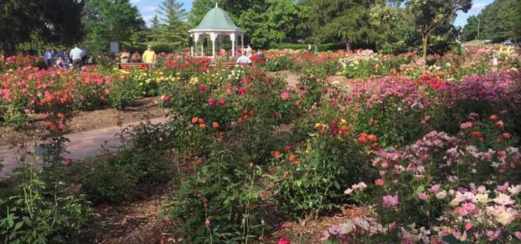 Photo of Rose Garden