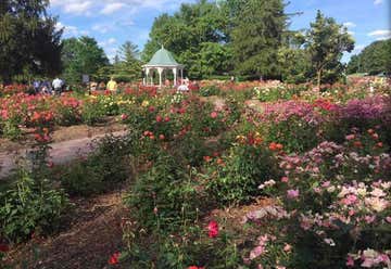 Photo of Rose Garden