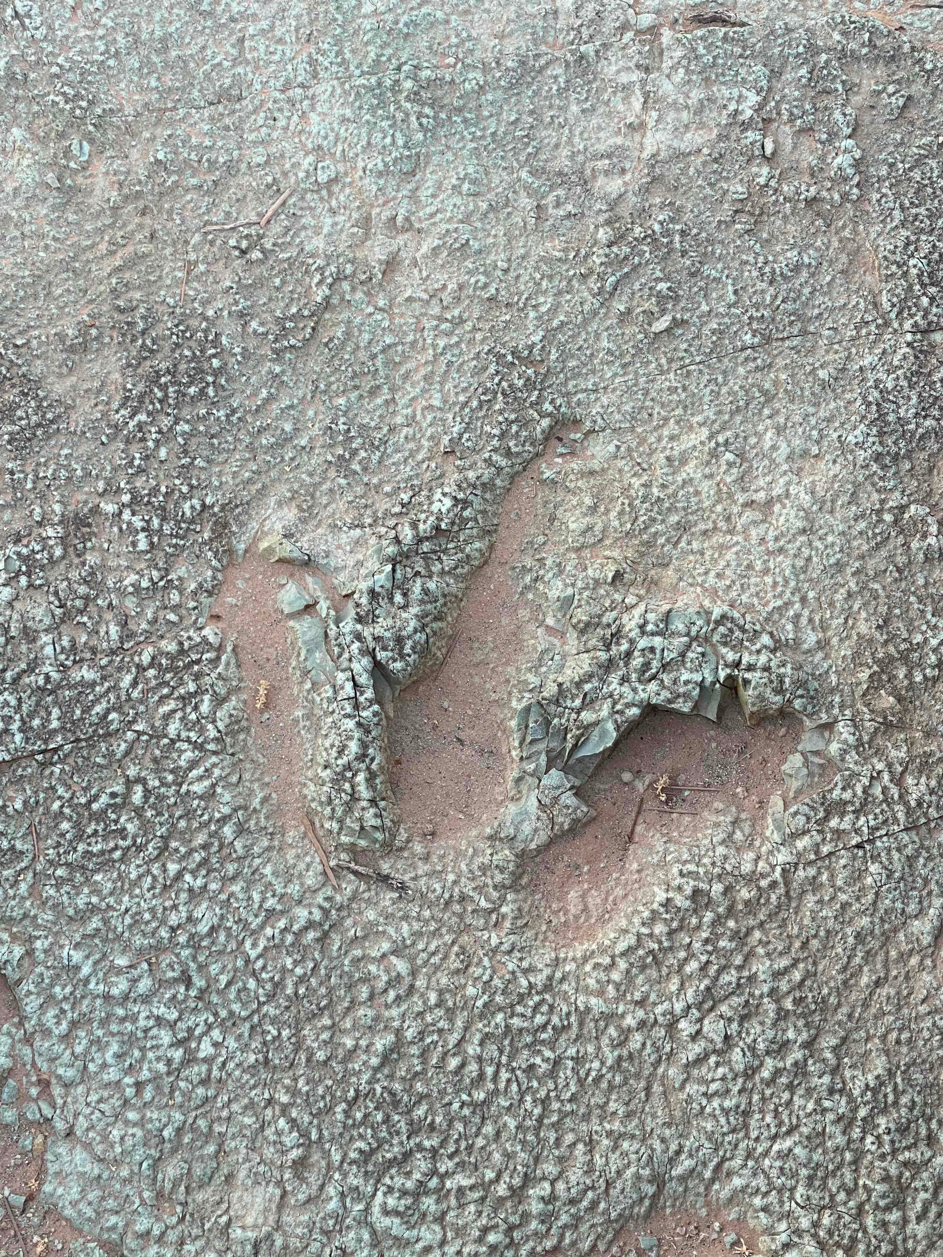 Mill Canyon Dinosaur Trail