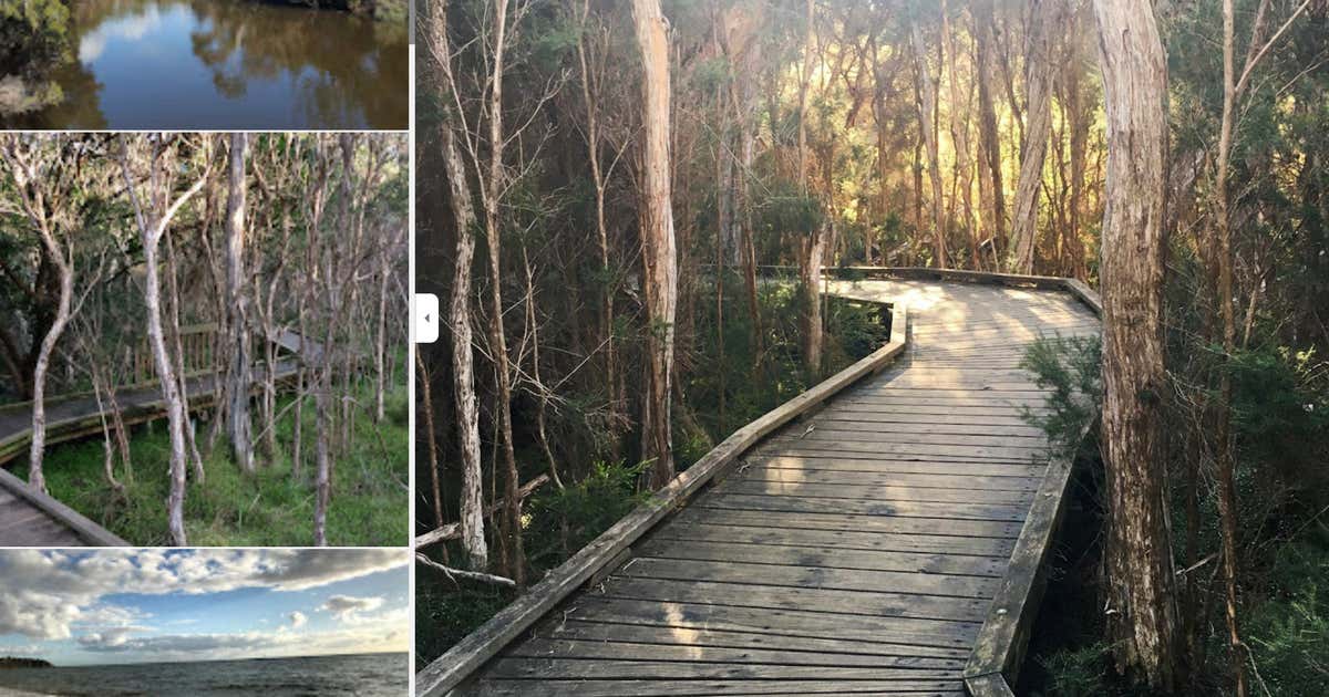 Balcombe Estuary Reserves, Victoria | Roadtrippers