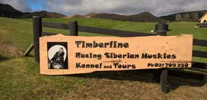 Timberline Racing and Siberian Huskies