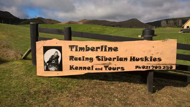 Timberline kennel store