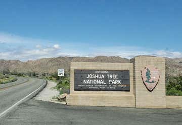 Photo of Joshua Tree South Dispersed Camping