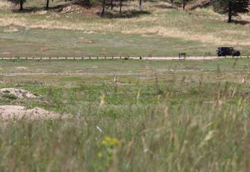 Photo of Prairie Dog Town