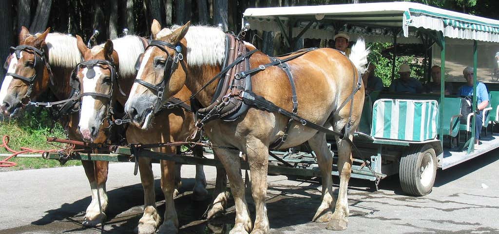 Photo of Mackinac Island Carriage Tours
