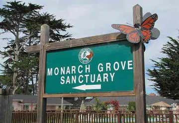 Photo of Monarch Butterfly Sanctuary