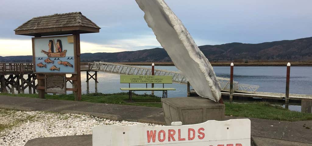 Photo of The World’s Largest Oyster