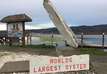 Photo of The World’s Largest Oyster