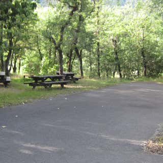 Curly Jack Campground