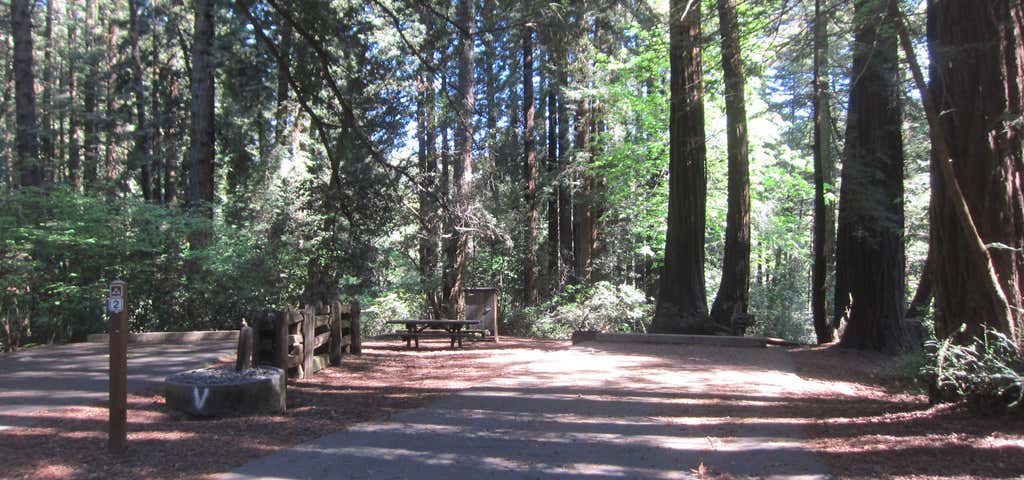 Photo of Samuel Taylor State Park