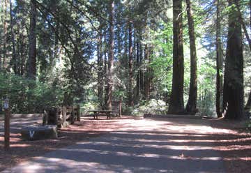 Photo of Samuel P. Taylor State Park