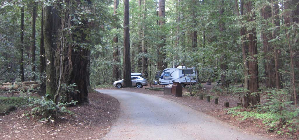 Photo of Butano State Park
