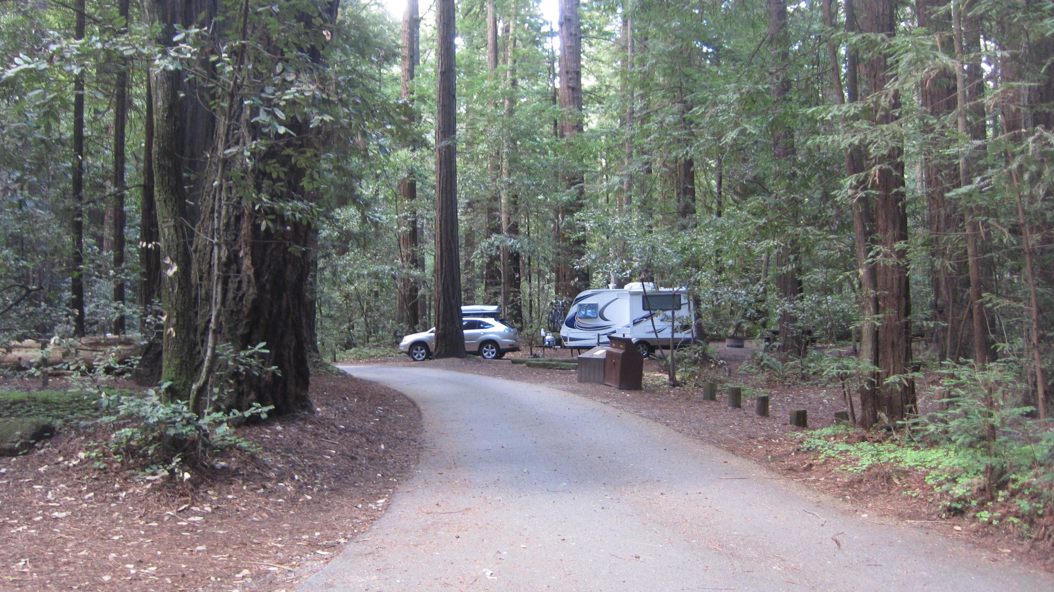 Butano State Park