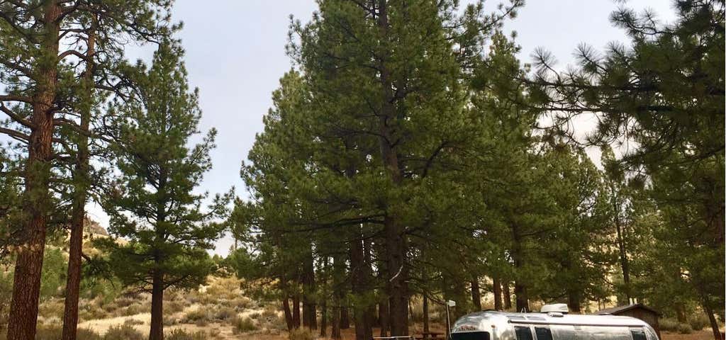 Photo of Meadow View Equestrian Campground