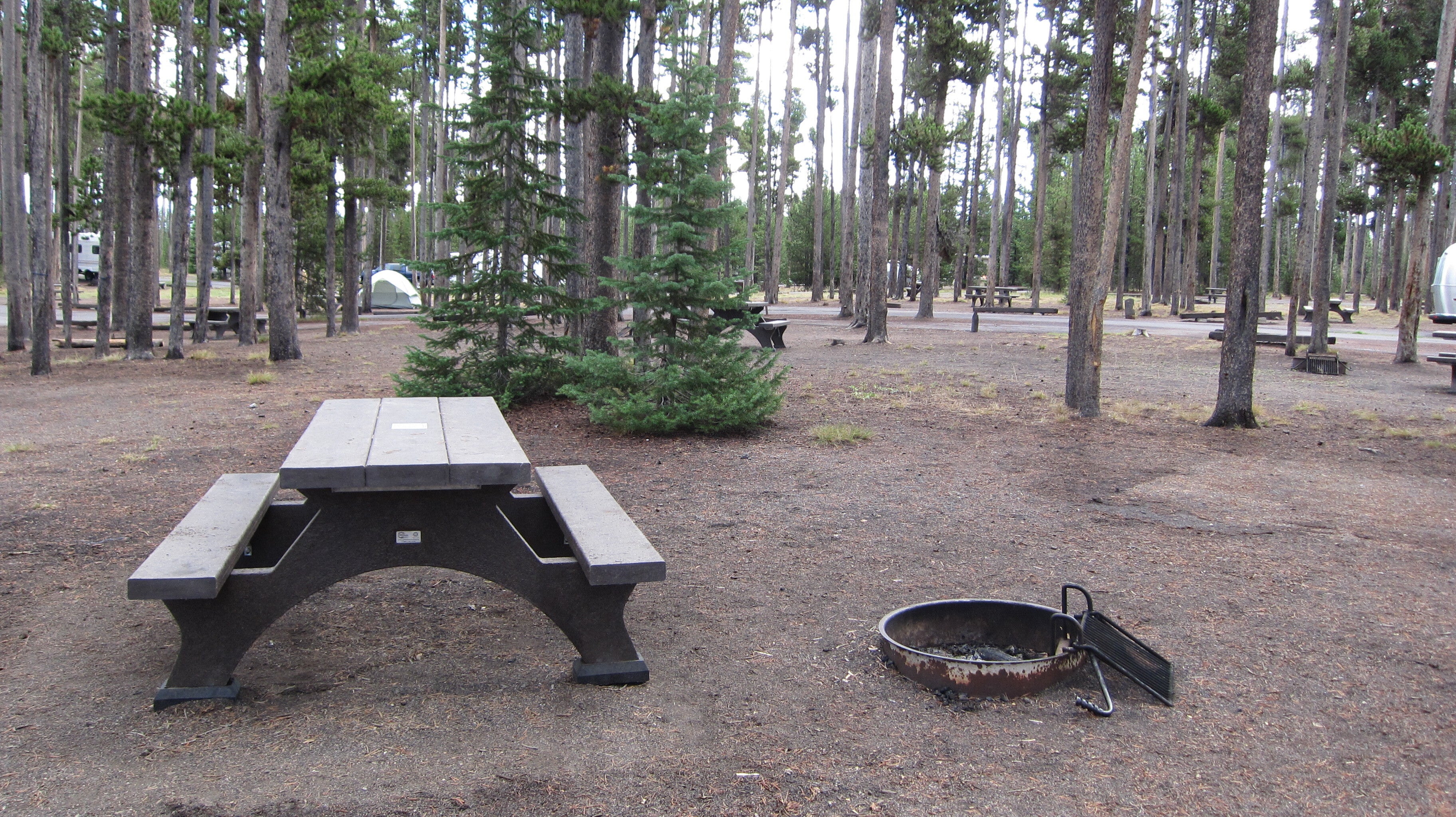Grant Village Campground
