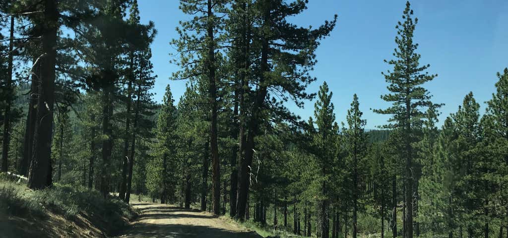 Photo of Bear Valley Campground