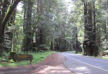 Photo of Paul M. Dimmick Campground