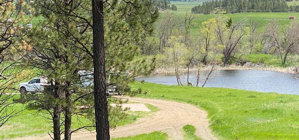 Photo of MacNab Pond Dispersed Camping