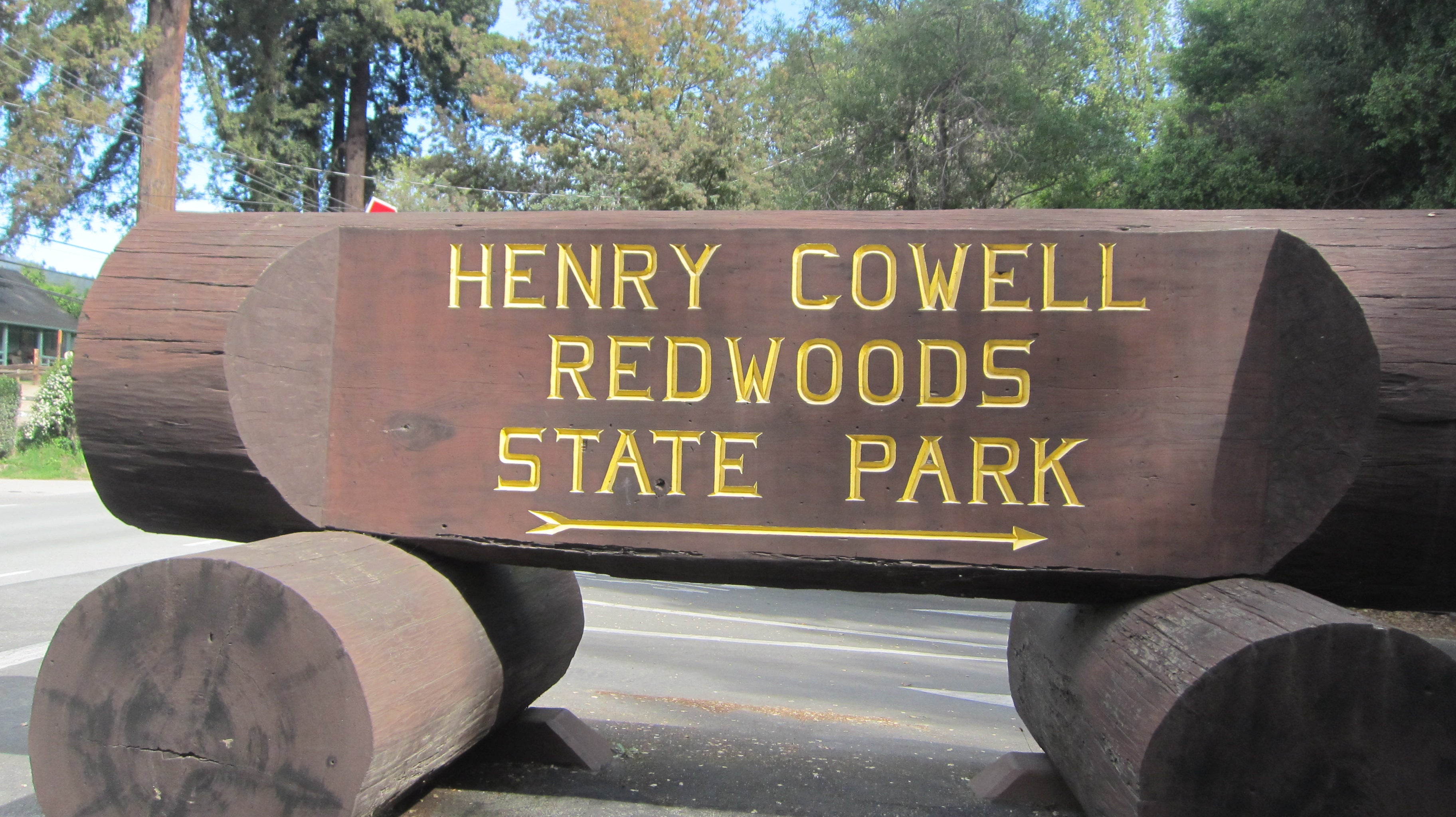 Henry Cowell Redwoods State Park