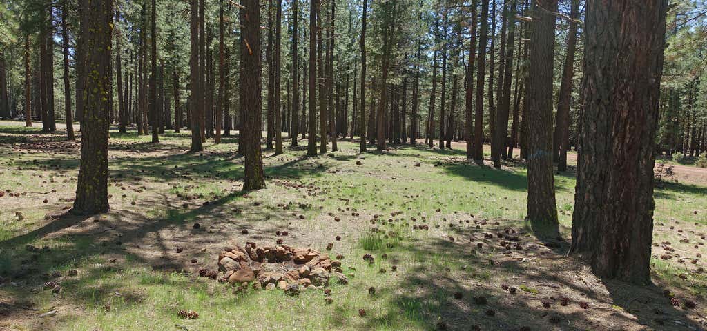 Escape to Red Tail Rim South: Your Northern California Campground Adventure