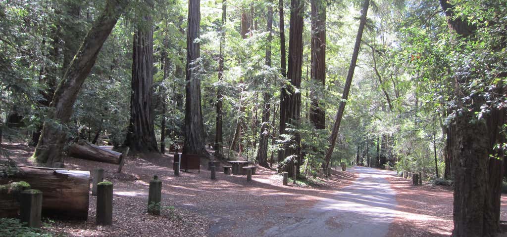 Photo of Portola Redwoods State Park