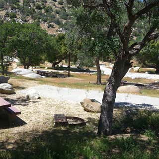 Pioneer Point Campground