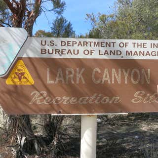 Lark Canyon Campground