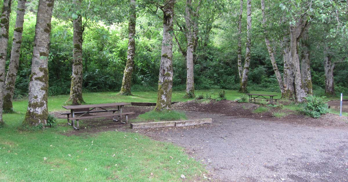 Kilchis River Campground, Tillamook Roadtrippers