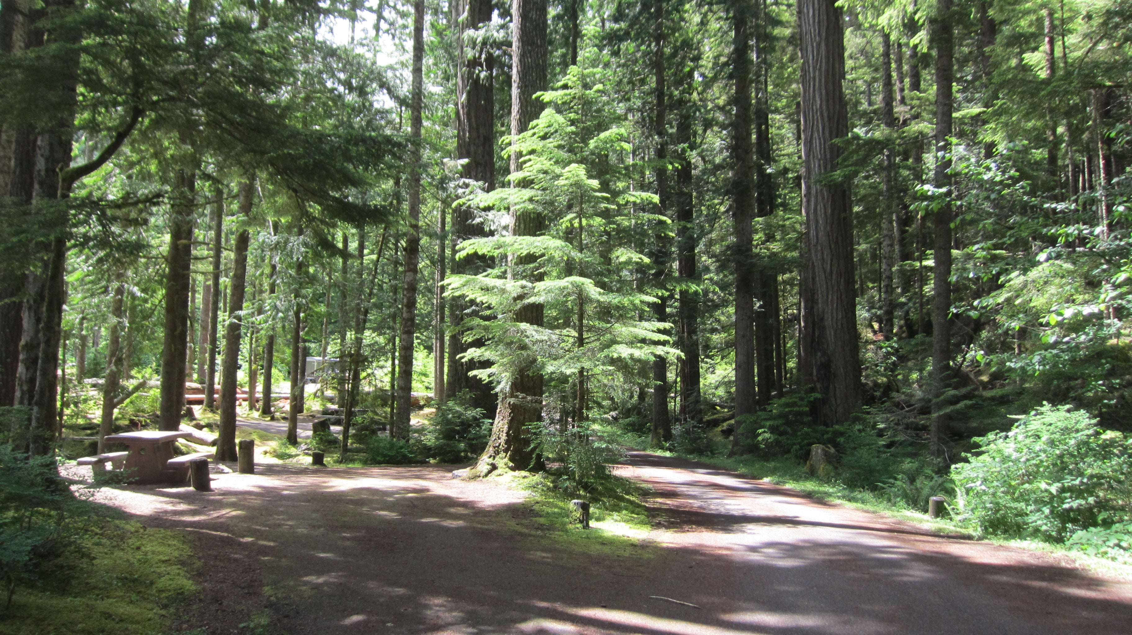 Heart O' the Hills Campground