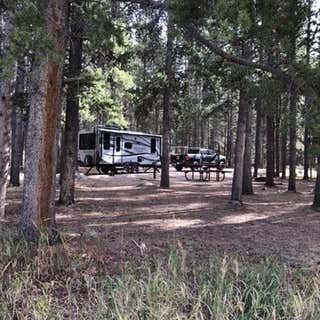 Prune Creek Campground