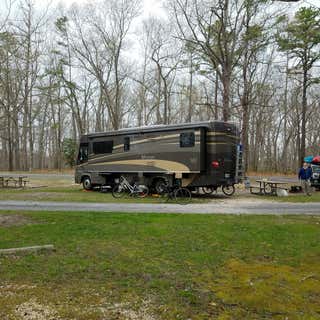 Allaire State Park Campground