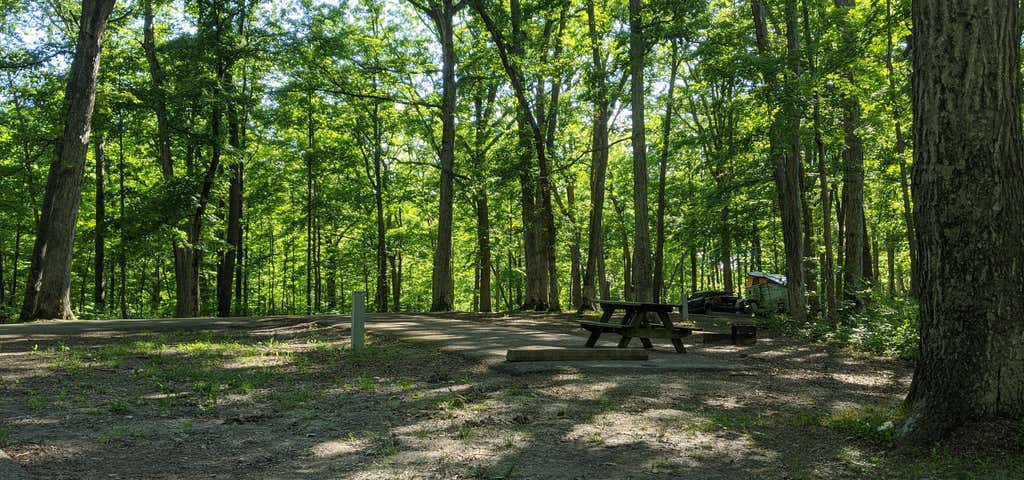 Photo of Versailles State Park Camground