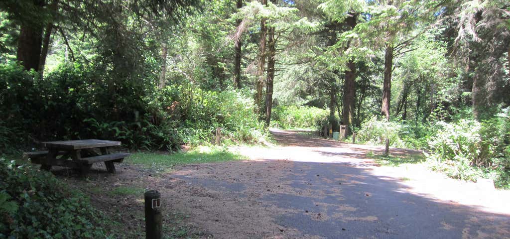 Photo of Tahkenitch Campground