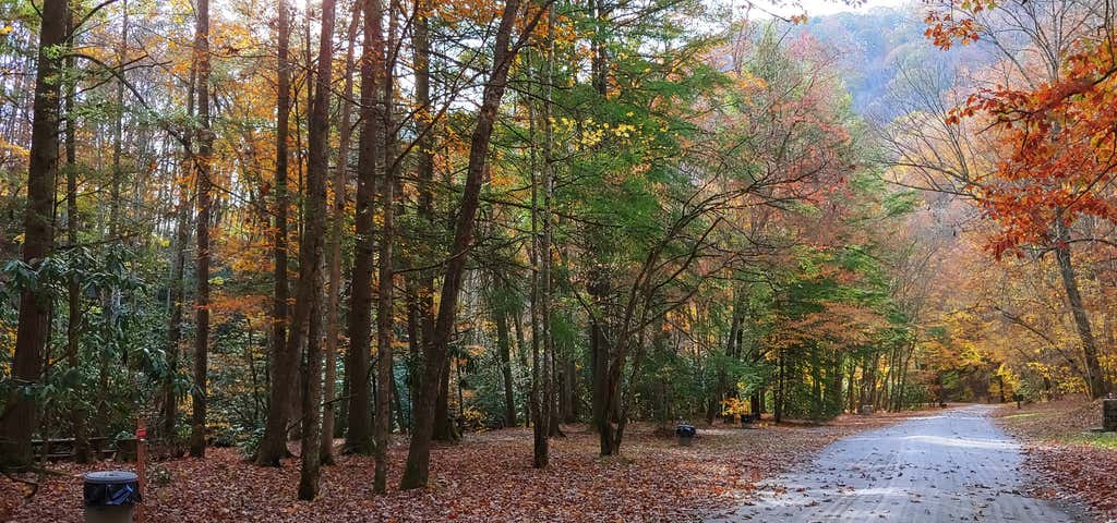 Photo of Blue Jay Campground