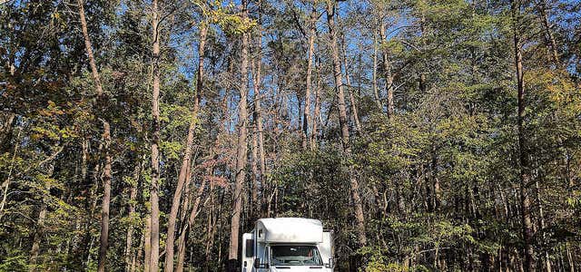 Photo of Yellowwood State Forest Primitive Campground