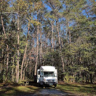 Yellowwood State Forest Primitive Campground