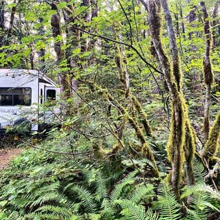 Goodell Creek Campground
