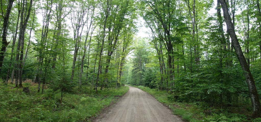 Photo of South Manistique Lake State Forest Campground