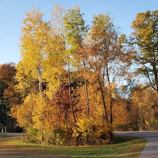 Buckhorn State Park