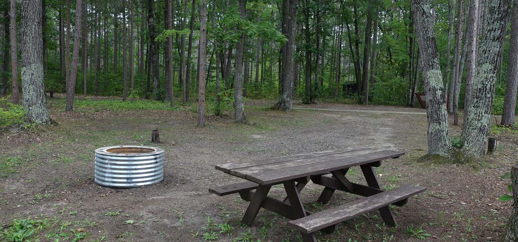 Photo of Thunder Bay River State Forest Campground