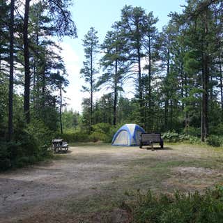 Andrus Lake State Forest Campground
