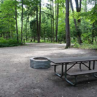 Platte River State Forest Campground